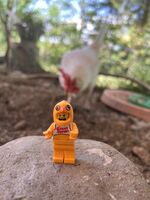 Profile picture Christoph Bartsch